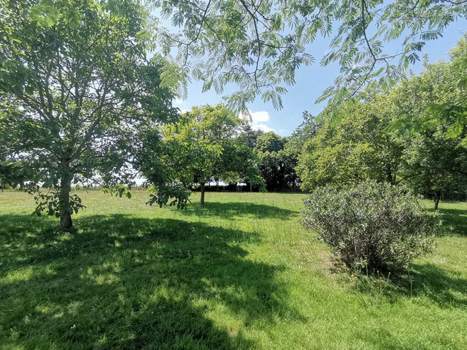 Ac3- vente maison 
iffendic
 1755042753
