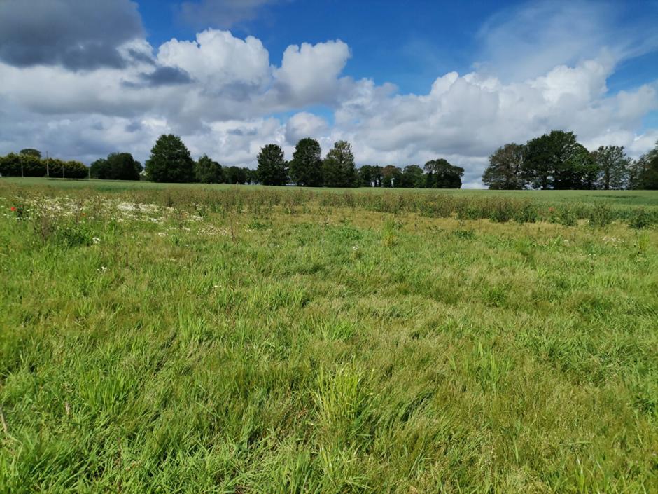 Ac3- vente maison 
mordelles
 1751068463