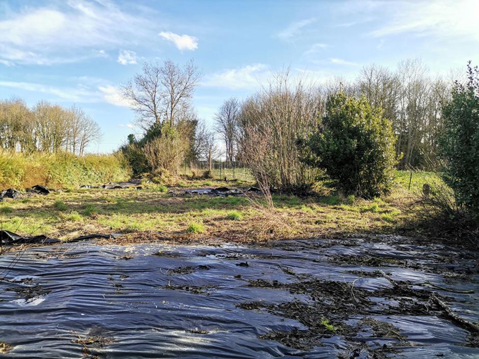 Ac3- vente maison 
quedillac
 1785540972