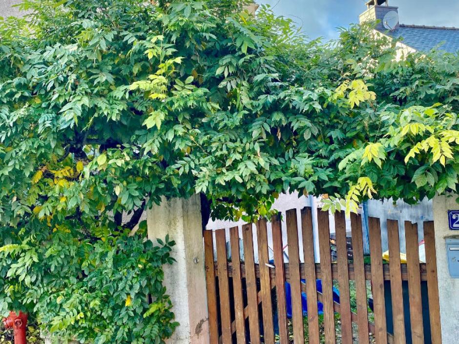 Ac3- vente maison 
rennes
 1746835714