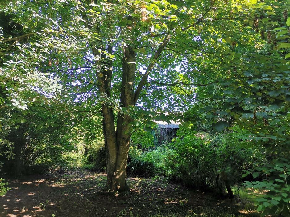 Ac3- vente maison 
st malon sur mel
 1779840077