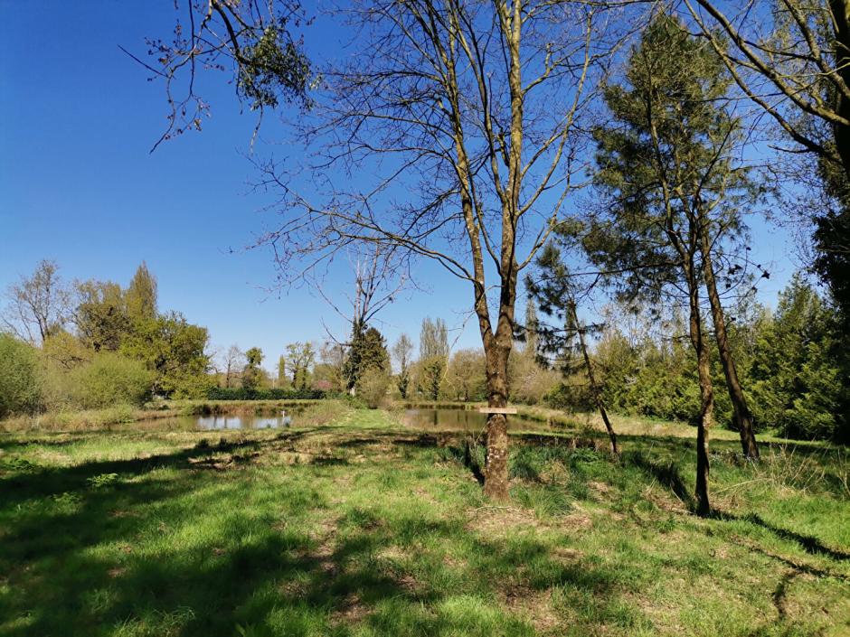 Ac3- vente terrain 
landujan
 1746231016