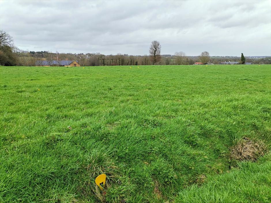 Ac3- vente terrain 
saint gonlay
 1775605933